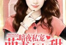 萌妻有点甜主角沈心凌小说完结版章节在线阅读-贝壳文学