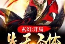 玄幻：开局先天圣体免费阅读，玄幻：开局先天圣体叶微尘-贝壳文学