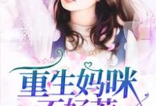 《重生妈咪不好惹》小说章节列表免费试读，季安然宫霆小说在线阅读-贝壳文学