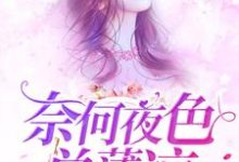 《奈何夜色总薄凉》小说章节在线试读，《奈何夜色总薄凉》最新章节目录-贝壳文学