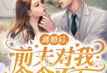 主角叫苏凝晏璟承小说离婚后，前夫对我念念不忘章节免费阅读-贝壳文学