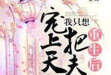 重生后,我只想把夫君宠上了天沈妩宋冽在线章节免费阅读-贝壳文学