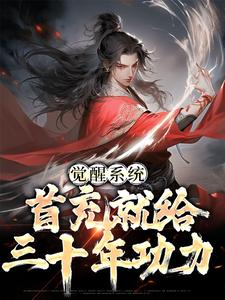 觉醒系统：首充就给三十年功力小说的无弹窗阅读体验，寻找免费阅读网站