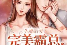 先婚后爱:完美霸总养成系统小说全文阅读需要付费吗?寻找免费资源-贝壳文学