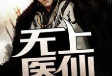 江小白上官婉清小说在线章节免费阅读（无上医仙无弹窗无删减）-贝壳文学