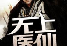 江小白上官婉清为主角的小说好看吗？求无上医仙免费试读-贝壳文学