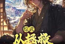 想读苏玄的故事，哪里可以免费找到综武：从拯救殷素素开始？-贝壳文学