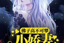 求佛子高不可攀，小娇妻她怂了小说的全文免费阅读链接-贝壳文学