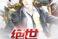 绝世无双小说完结版章节免费阅读-贝壳文学