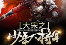 白风仪赵桓岳飞童贯小说叫什么(大宋之少年大将军免费阅读)-贝壳文学