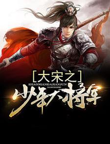 白风仪赵桓岳飞童贯小说叫什么（大宋之少年大将军免费阅读）