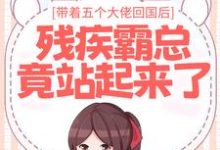 完结版《带着五个大佬回国后，残疾霸总竟站起来了》在线免费阅读-贝壳文学