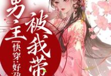 已完结小说《快穿:好孕生子后,男主被我带飞》在线章节阅读-贝壳文学