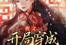 小说《爽文：开局穿成尊贵贵妃》在线章节阅读-贝壳文学