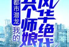 都市潜龙：我的五个师娘风华绝代小说有没有完结版在线？-贝壳文学