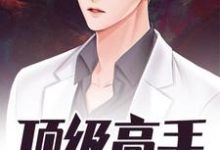 在线寻找顶级高手小说的无删减版本-贝壳文学
