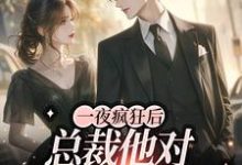 一夜疯狂后，总裁他对我疯狂上头小说，一夜疯狂后，总裁他对我疯狂上头章节在线阅读-贝壳文学
