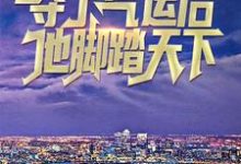 免费看夺了气运后，他脚踏天下小说的网站有哪些？-贝壳文学