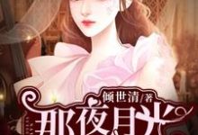那夜月光如初雪林若雨许意白马冉杨青月小说在线章节免费阅读-贝壳文学
