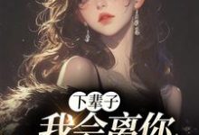 下辈子，我会离你远远的这本小说在哪里可以看？哪里有免费试读章节？-贝壳文学