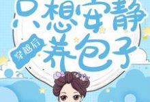穿越后，寡妇她只想安静养包子暮清妍秦子骞，穿越后，寡妇她只想安静养包子章节在线阅读-贝壳文学