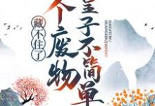 藏不住了！这个废物皇子不简单这本小说在哪里可以看？哪里有免费试读章节？-贝壳文学