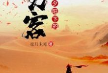 夕阳下的刀客小说，夕阳下的刀客姜离陆香妍-贝壳文学