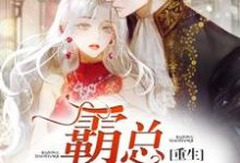重生霸总小甜妻免费阅读，重生霸总小甜妻章节在线阅读-贝壳文学