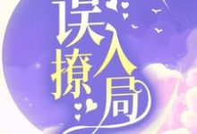免费阅读祁砚舒漾为主角的小说，误撩入局在线看-贝壳文学