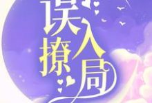 主人公叫祁砚舒漾的小说哪里免费看-贝壳文学