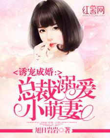 总裁溺爱小萌妻小说，总裁溺爱小萌妻免费阅读