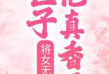 免费看将女无双:世子他真香了小说的网站有哪些?-贝壳文学