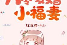 八零暖婚小福妻小说有没有完结版在线？-贝壳文学