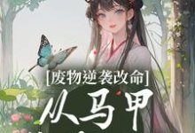 蓝玥萧玦的完整故事在哪里?读废物逆袭改命:从马甲掉落开始小说-贝壳文学