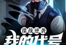《谍战逆袭：我的代号铁丝网》全集免费在线阅读（刘长川）-贝壳文学