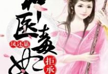凤还巢，神医毒妃拒成婚小说无弹窗阅读的网站推荐-贝壳文学