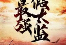 最强假太监主角龙辰帝洛曦小说完结版章节在线阅读-贝壳文学