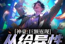叶宁的故事在哪本书里？免费阅读神豪：巨额返现，从给异性花钱开始-贝壳文学