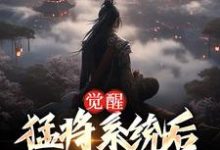 免费在线阅读觉醒猛将系统后,开局在贵妃床上小说的正规网站有哪些?-贝壳文学