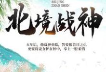 陈宁宋娉婷是哪本书的主角？寻找北境战神免费阅读-贝壳文学