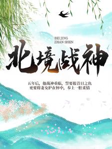 陈宁宋娉婷是哪本书的主角？寻找北境战神免费阅读