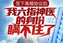 签下离婚协议后，我六指神医的身份瞒不住了 林悦叶可卿小说在线章节免费阅读-贝壳文学