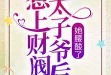 求惹上财阀太子爷后,她腰酸了小说免费资源-贝壳文学