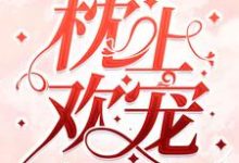 枕上欢宠小说的所有章节都能在哪里免费读到？-贝壳文学