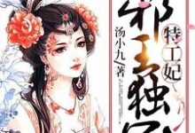 免费在线阅读邪王独宠特工妃小说的正规网站有哪些?-贝壳文学