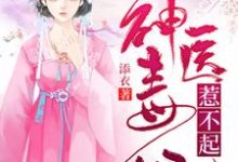 千鹤夜倾重的完整故事在哪里？读神医毒妃惹不起小说-贝壳文学