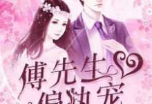 叶南浅傅绍衡舒妍宋鸿云是哪本书的主角?暖婚蜜恋:傅先生偏执宠免费读-贝壳文学