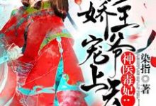 神医毒妃:傲娇王爷宠上天小说阅读,神医毒妃:傲娇王爷宠上天完结版-贝壳文学