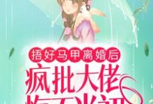 捂好马甲离婚后，疯批大佬悔不当初宴君夜林清浅，捂好马甲离婚后，疯批大佬悔不当初小说免费阅读-贝壳文学