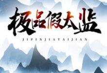 陆谦司冰为主角的小说好看吗？免费读极品假太监-贝壳文学